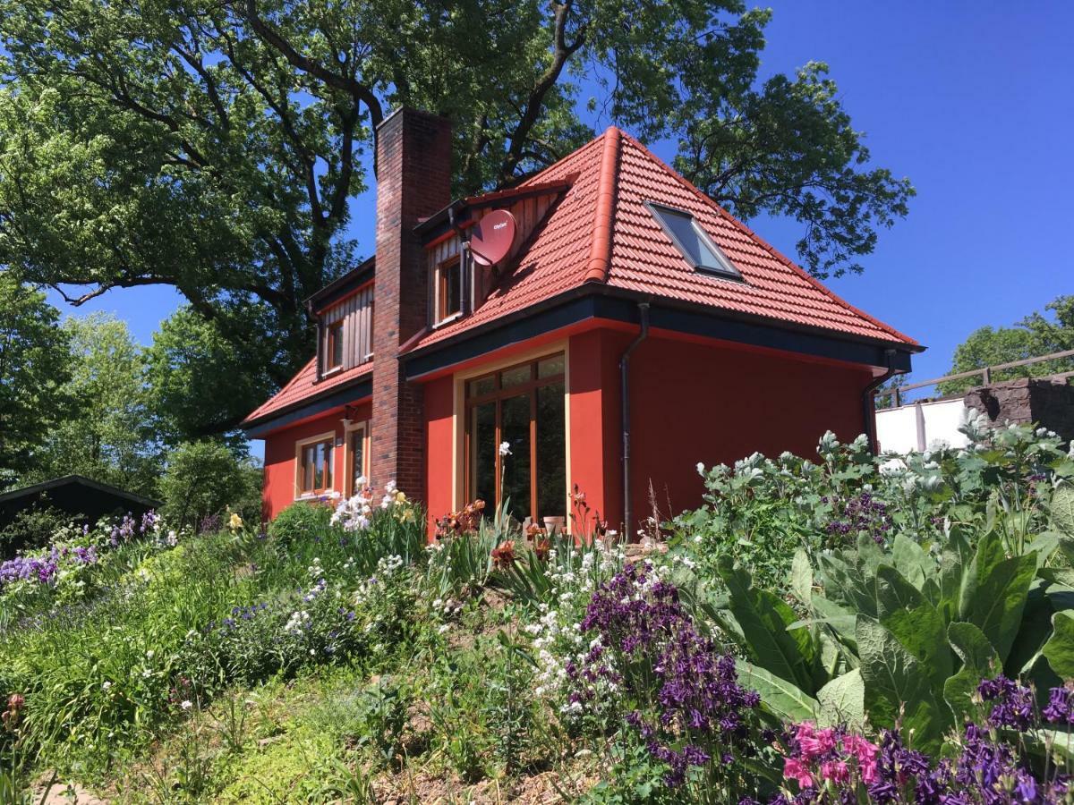 Kleine Villa Im Wilden Garten Ґуммерсбах Екстер'єр фото