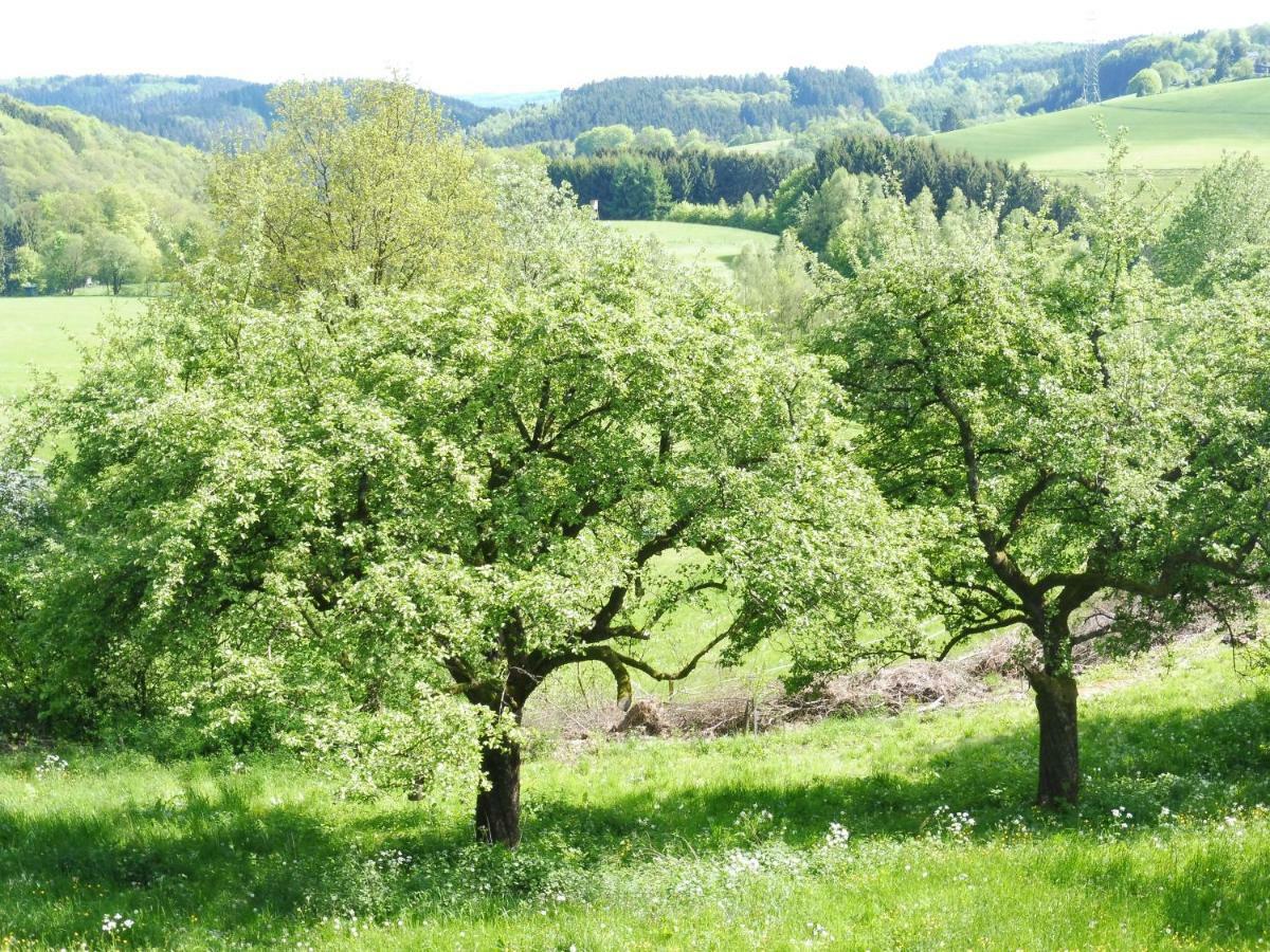 Kleine Villa Im Wilden Garten Ґуммерсбах Екстер'єр фото