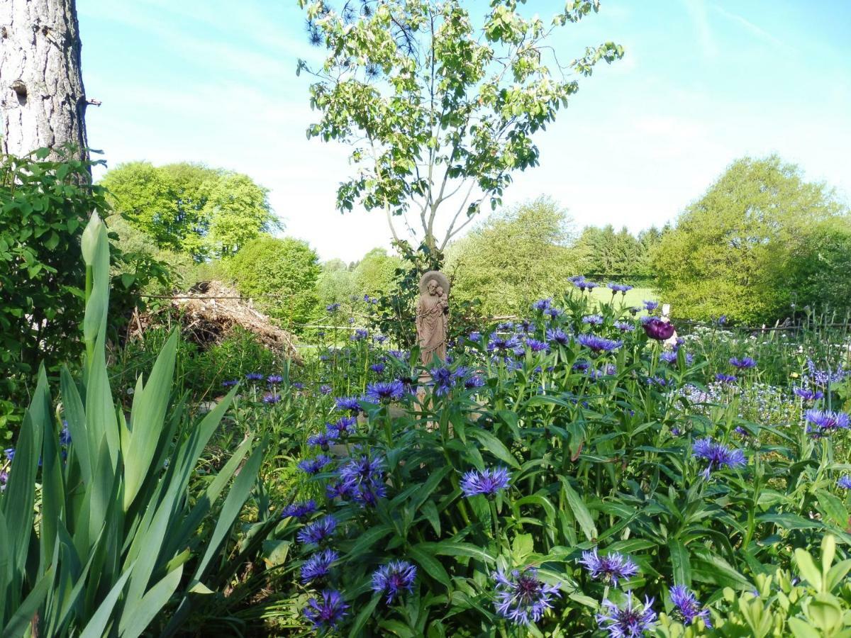 Kleine Villa Im Wilden Garten Ґуммерсбах Екстер'єр фото
